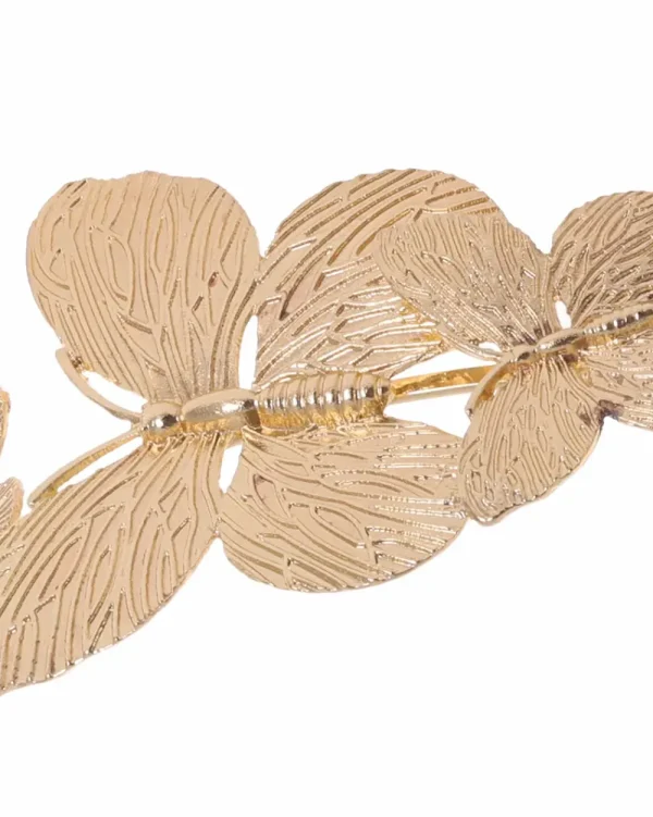Juan Bernal Diademas^Diadema mariposa dorada