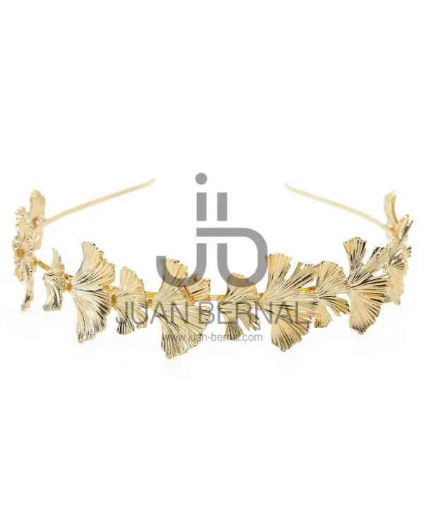 Juan Bernal Diademas^Diadema Riel