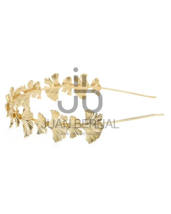 Juan Bernal Diademas^Diadema Riel