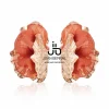 Juan Bernal Pendientes^Pendienes Dison Caldera