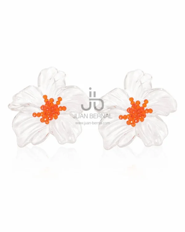Juan Bernal Pendientes^Pendientes Wely transparentes